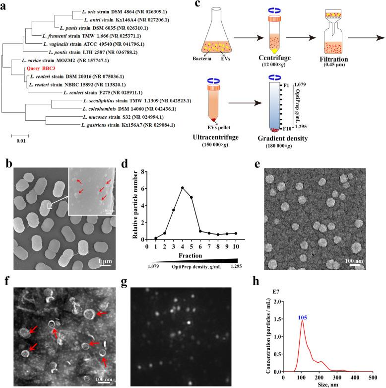 https://cdn.ncbi.nlm.nih.gov/pmc/blobs/8411/7888134/566902ff824f/40104_2020_532_Fig1_HTML.jpg