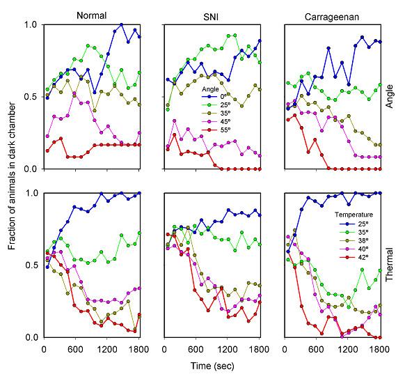 https://cdn.ncbi.nlm.nih.gov/pmc/blobs/8412/1351167/7741e0941d9e/1744-8069-2-1-1.jpg