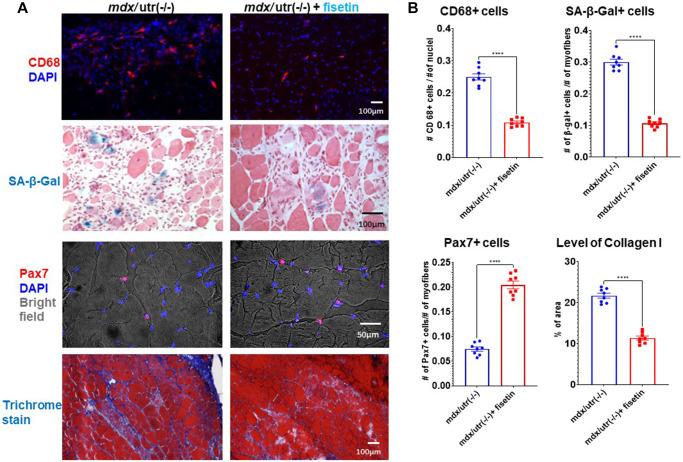https://cdn.ncbi.nlm.nih.gov/pmc/blobs/8412/9596208/40c265380ceb/aging-14-204275-g005.jpg