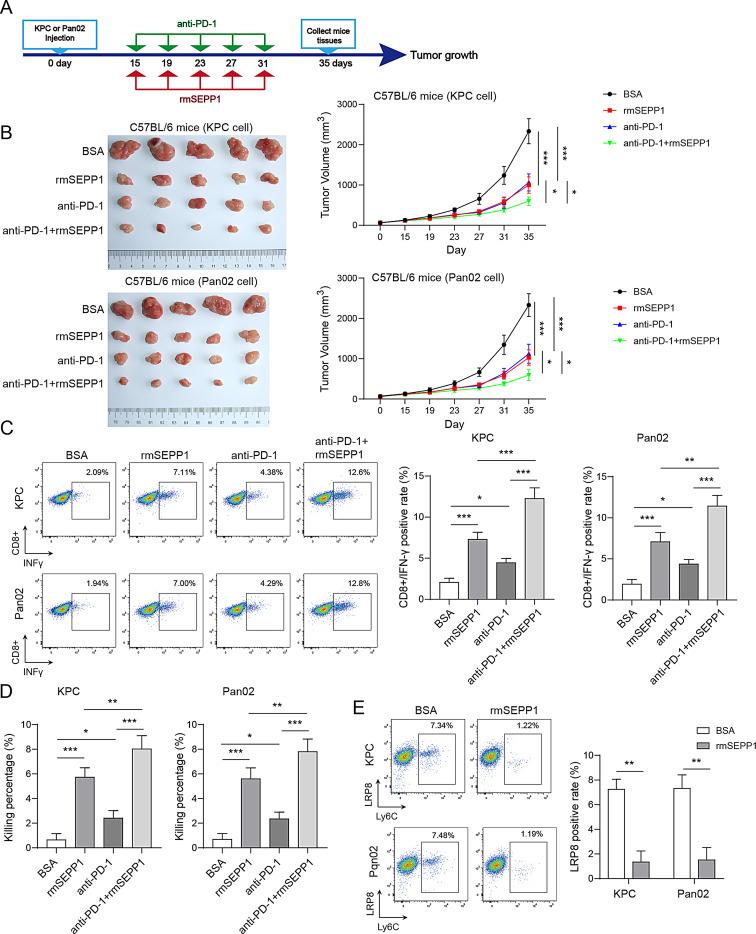 https://cdn.ncbi.nlm.nih.gov/pmc/blobs/8415/11841300/7203e4317c30/13578_2025_1356_Fig8_HTML.jpg