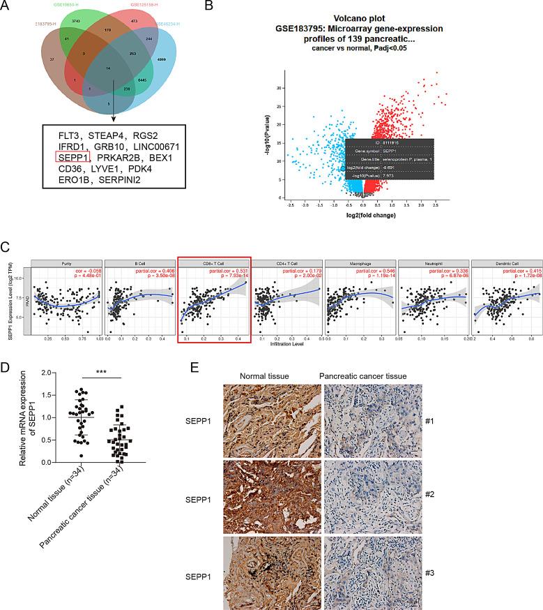 https://cdn.ncbi.nlm.nih.gov/pmc/blobs/8415/11841300/8a0dc2957935/13578_2025_1356_Fig1_HTML.jpg