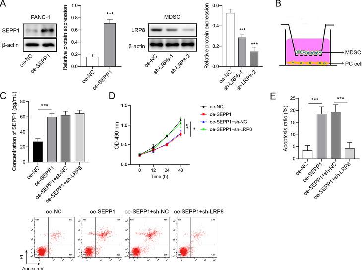 https://cdn.ncbi.nlm.nih.gov/pmc/blobs/8415/11841300/9748aa2c644a/13578_2025_1356_Fig6_HTML.jpg