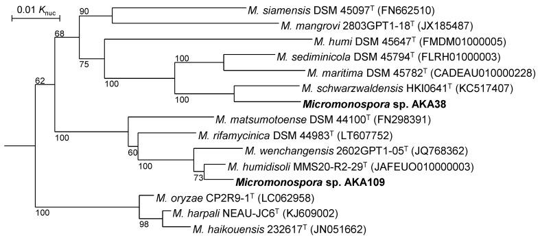 https://cdn.ncbi.nlm.nih.gov/pmc/blobs/8415/9967187/b4df4ff921c5/life-13-00542-g003.jpg