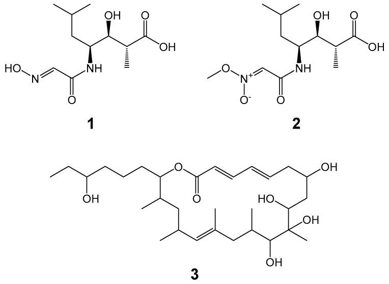 https://cdn.ncbi.nlm.nih.gov/pmc/blobs/8415/9967187/cebf0fc1adf2/life-13-00542-g001.jpg