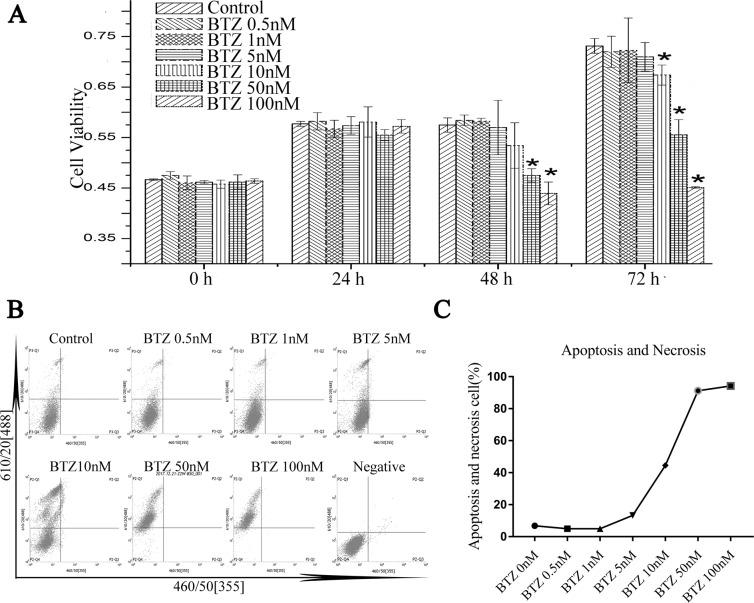https://cdn.ncbi.nlm.nih.gov/pmc/blobs/8417/7101404/5c1c8faeebb8/41598_2020_62254_Fig2_HTML.jpg