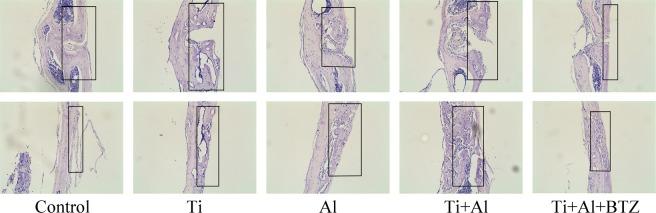 https://cdn.ncbi.nlm.nih.gov/pmc/blobs/8417/7101404/5ca2db29b865/41598_2020_62254_Fig6_HTML.jpg