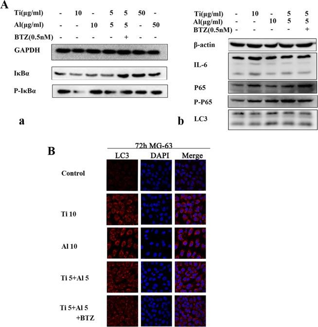 https://cdn.ncbi.nlm.nih.gov/pmc/blobs/8417/7101404/7019f2217d8d/41598_2020_62254_Fig3_HTML.jpg