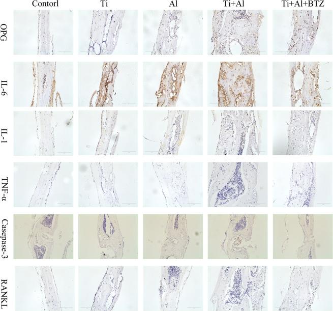 https://cdn.ncbi.nlm.nih.gov/pmc/blobs/8417/7101404/d7f33f4fc834/41598_2020_62254_Fig7_HTML.jpg