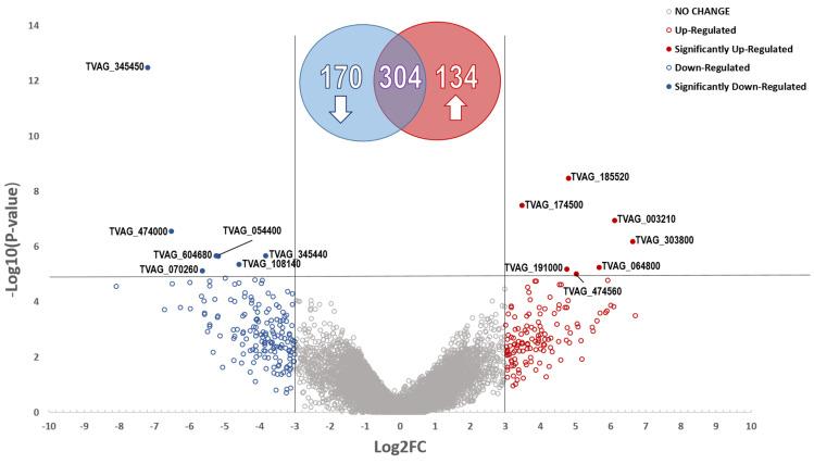https://cdn.ncbi.nlm.nih.gov/pmc/blobs/8419/10223654/af0648512ba4/pathogens-12-00692-g001.jpg