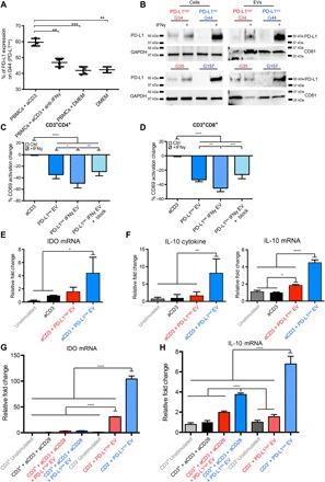 https://cdn.ncbi.nlm.nih.gov/pmc/blobs/841c/5842038/2681d95668bc/aar2766-F4.jpg