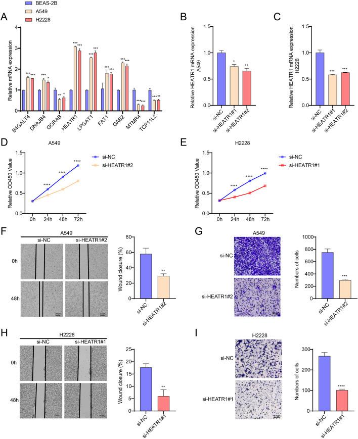 https://cdn.ncbi.nlm.nih.gov/pmc/blobs/841d/12394886/b2731277561f/fphar-16-1646396-g007.jpg