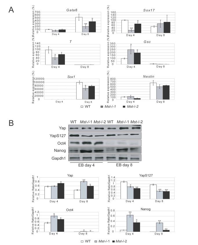 https://cdn.ncbi.nlm.nih.gov/pmc/blobs/841d/3818222/1839db286d78/pone.0079867.g005.jpg