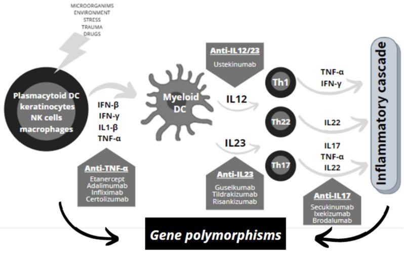 https://cdn.ncbi.nlm.nih.gov/pmc/blobs/841e/8069496/efb27b4b1a83/jpm-11-00293-g001.jpg