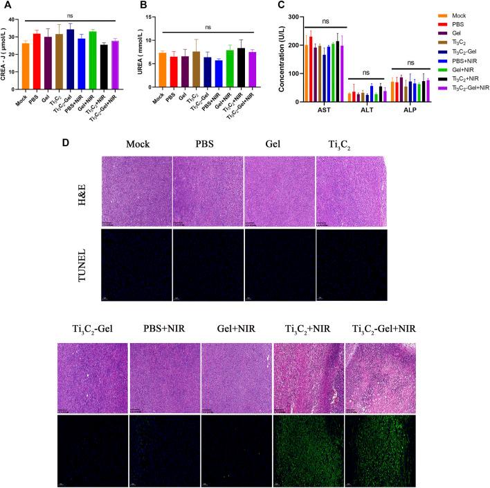 https://cdn.ncbi.nlm.nih.gov/pmc/blobs/841e/8733661/4f7ac6d27ea2/fbioe-09-791891-g006.jpg