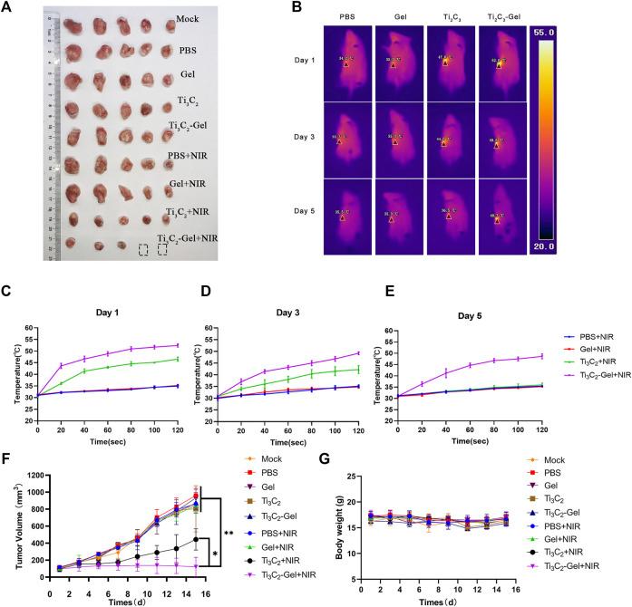 https://cdn.ncbi.nlm.nih.gov/pmc/blobs/841e/8733661/a9cddf7fadd3/fbioe-09-791891-g005.jpg