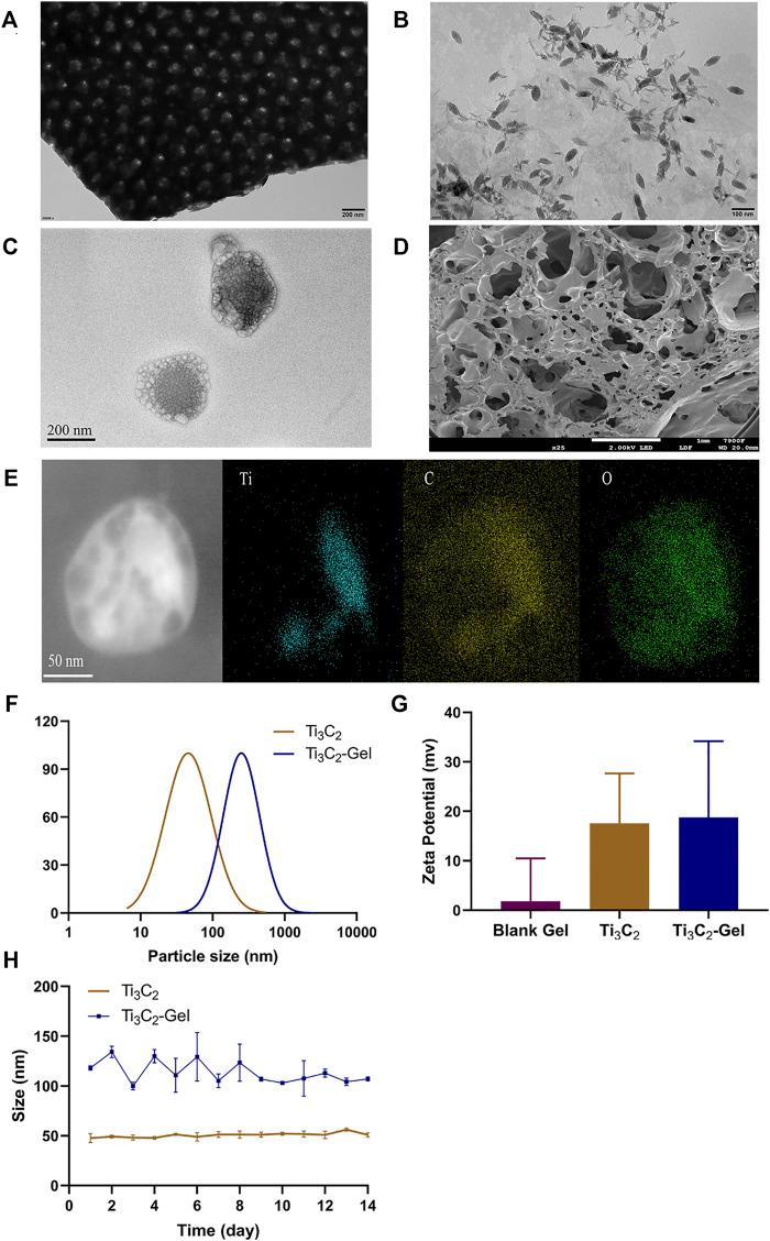 https://cdn.ncbi.nlm.nih.gov/pmc/blobs/841e/8733661/bde958e53b0d/fbioe-09-791891-g002.jpg