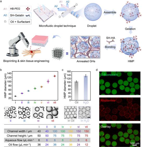 https://cdn.ncbi.nlm.nih.gov/pmc/blobs/841f/12140292/7d05e512a70b/ADVS-12-2415634-g006.jpg