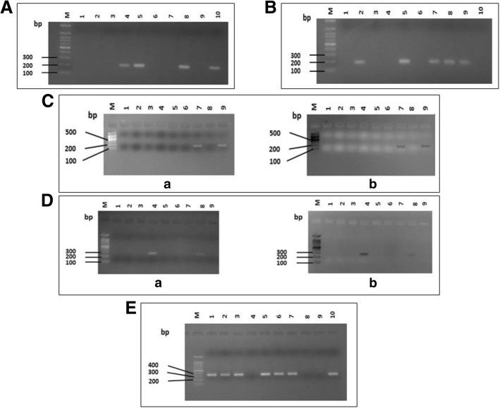 https://cdn.ncbi.nlm.nih.gov/pmc/blobs/8423/6346553/c053c5b9a357/12876_2019_934_Fig2_HTML.jpg