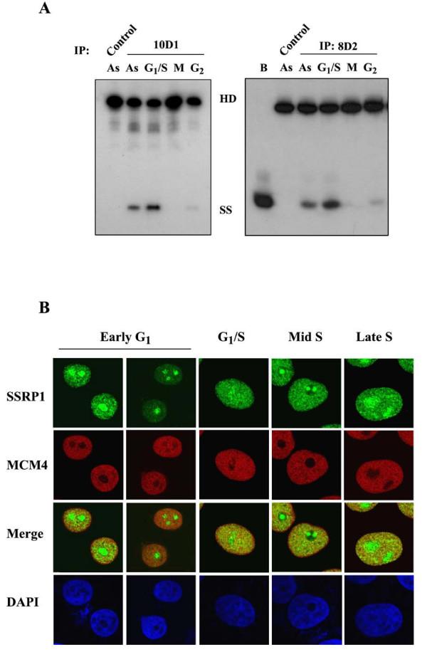 https://cdn.ncbi.nlm.nih.gov/pmc/blobs/8425/2848000/151c764c77aa/1423-0127-17-11-5.jpg
