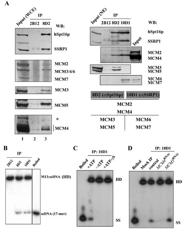 https://cdn.ncbi.nlm.nih.gov/pmc/blobs/8425/2848000/89e22de44fdb/1423-0127-17-11-1.jpg