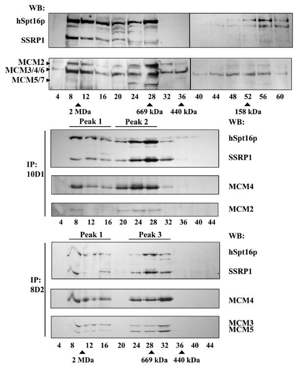 https://cdn.ncbi.nlm.nih.gov/pmc/blobs/8425/2848000/c8bd5b6f4243/1423-0127-17-11-2.jpg