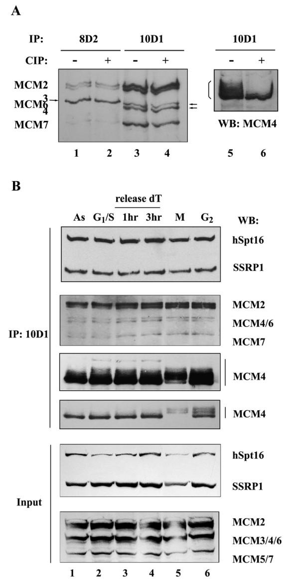 https://cdn.ncbi.nlm.nih.gov/pmc/blobs/8425/2848000/ee779054e12c/1423-0127-17-11-4.jpg
