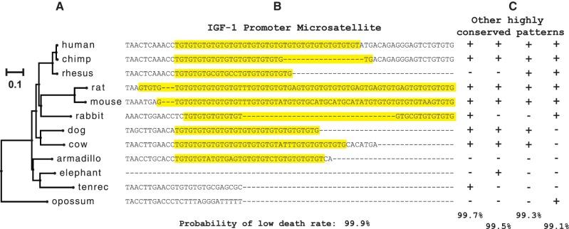 https://cdn.ncbi.nlm.nih.gov/pmc/blobs/8427/3516246/a29c4882eb59/evs050f1.jpg