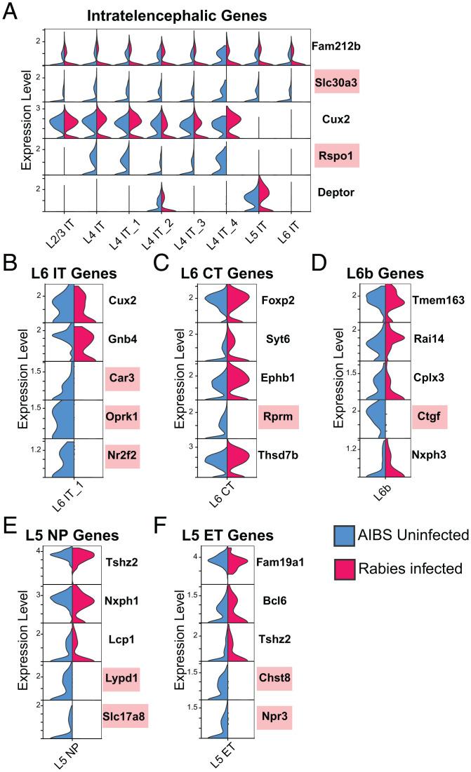 https://cdn.ncbi.nlm.nih.gov/pmc/blobs/8428/9295789/02105da74fcd/pnas.2203677119fig06.jpg