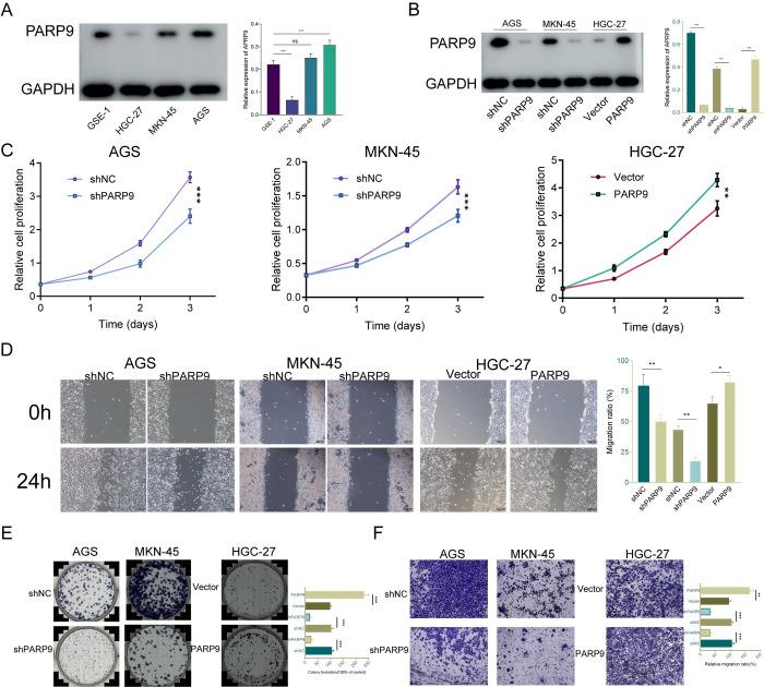 https://cdn.ncbi.nlm.nih.gov/pmc/blobs/842c/11687892/0ae977708734/pone.0316476.g002.jpg