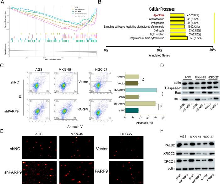 https://cdn.ncbi.nlm.nih.gov/pmc/blobs/842c/11687892/e1a5fb79a077/pone.0316476.g003.jpg