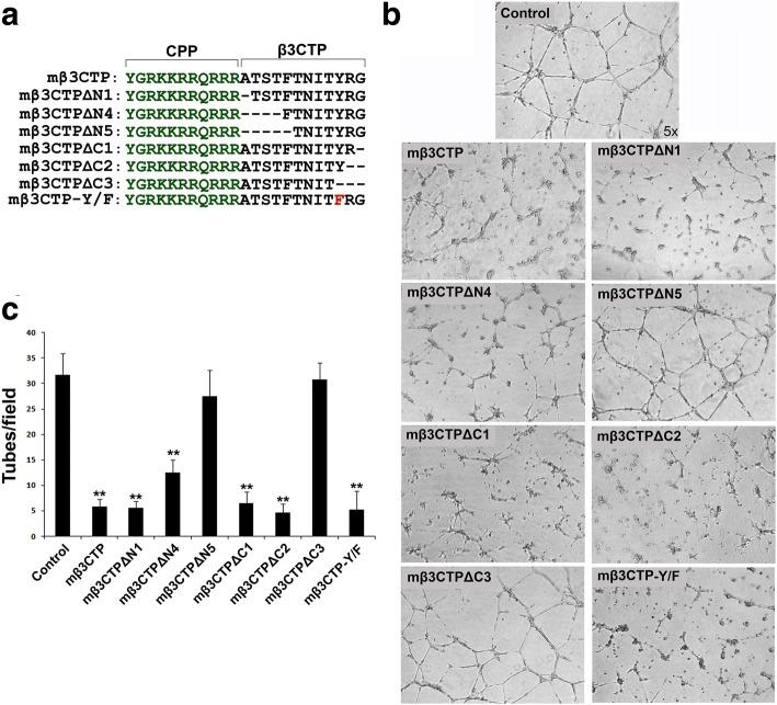 https://cdn.ncbi.nlm.nih.gov/pmc/blobs/842f/6029062/fe8ed127c412/12964_2018_248_Fig5_HTML.jpg