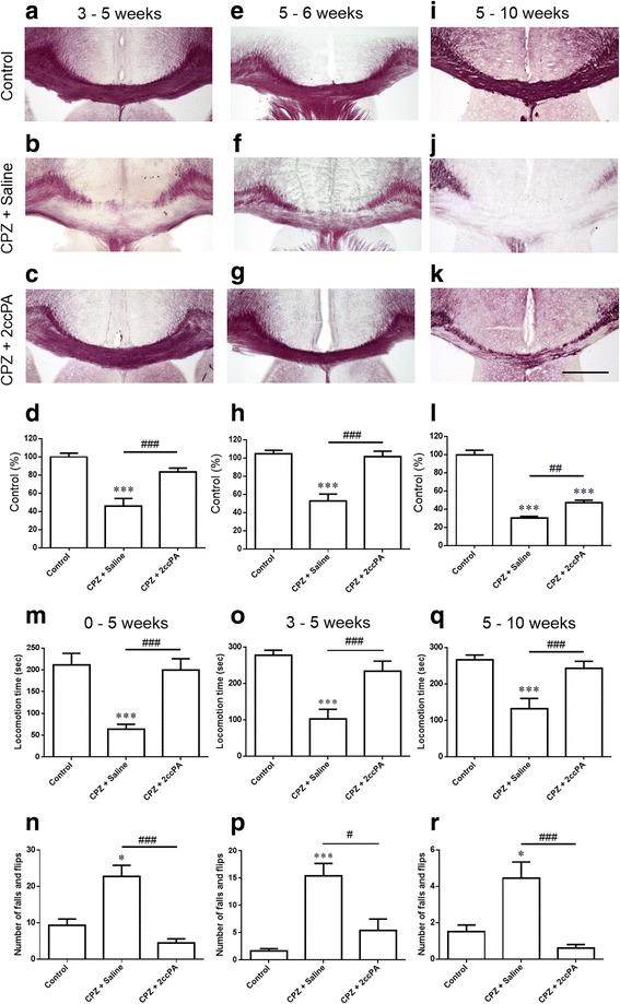 https://cdn.ncbi.nlm.nih.gov/pmc/blobs/8430/5521126/7c1ecd0e3168/12974_2017_923_Fig5_HTML.jpg
