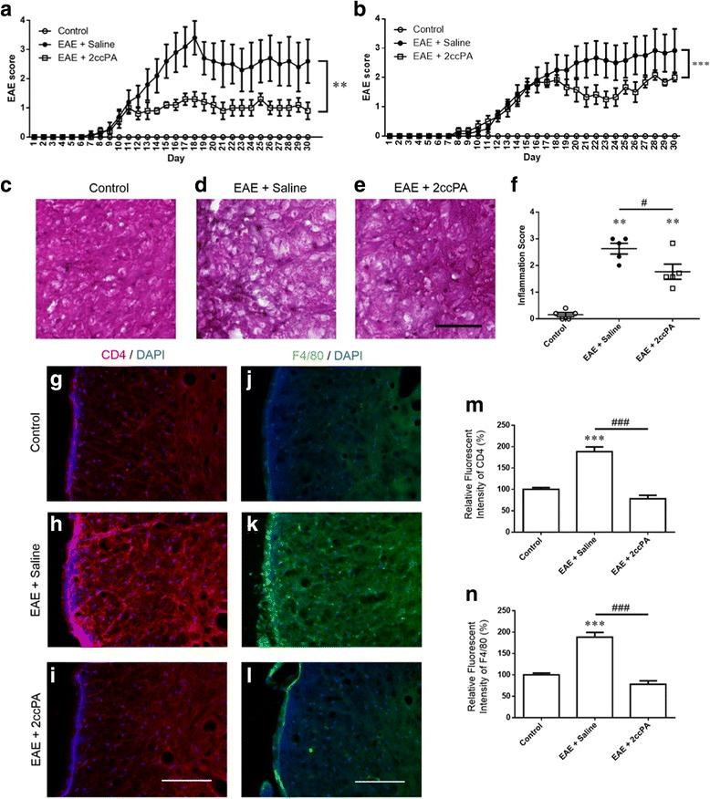 https://cdn.ncbi.nlm.nih.gov/pmc/blobs/8430/5521126/b405cc1209ef/12974_2017_923_Fig6_HTML.jpg