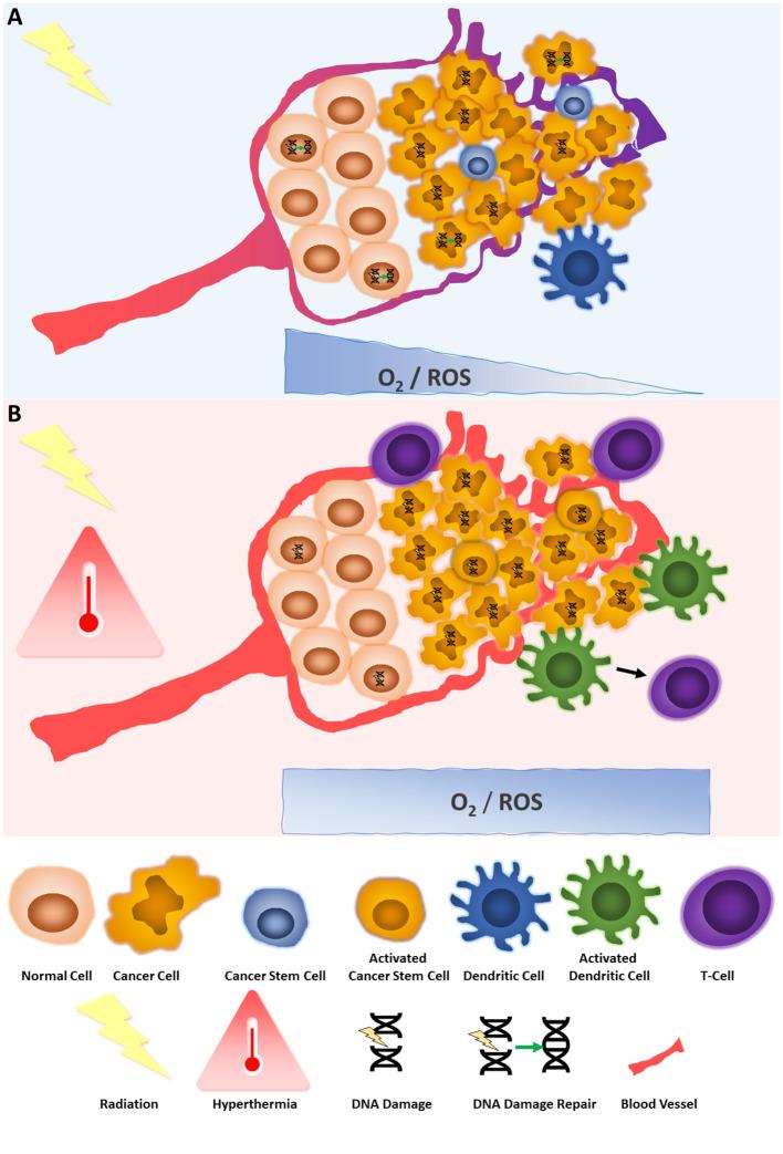 https://cdn.ncbi.nlm.nih.gov/pmc/blobs/8431/11333208/3fd4b0ce0346/fonc-14-1428065-g001.jpg