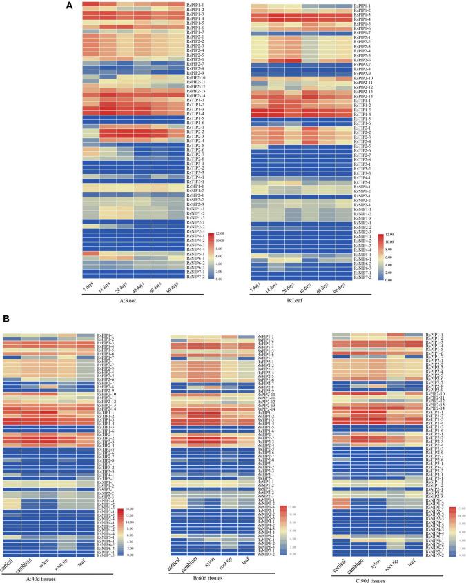 https://cdn.ncbi.nlm.nih.gov/pmc/blobs/8431/9337223/26e47573f9f1/fpls-13-860742-g005.jpg