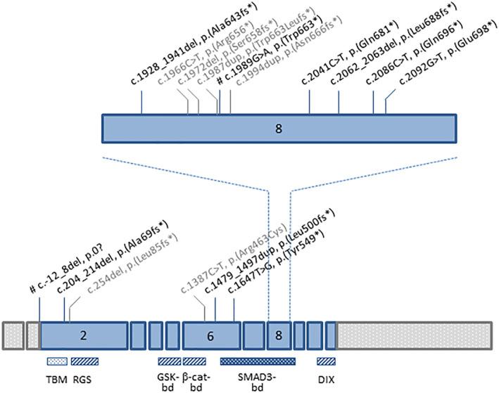https://cdn.ncbi.nlm.nih.gov/pmc/blobs/8432/10107344/ca0ac87243d6/GCC-62-210-g002.jpg