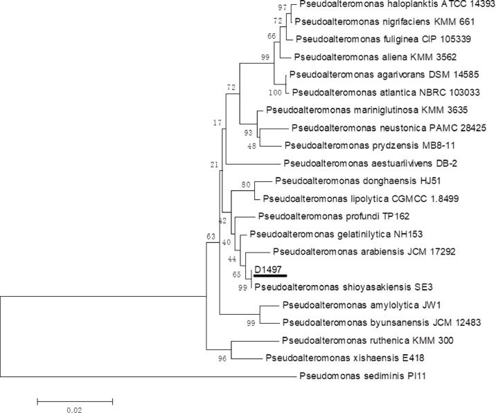https://cdn.ncbi.nlm.nih.gov/pmc/blobs/8433/8711050/31823efd2c0a/gr1.jpg