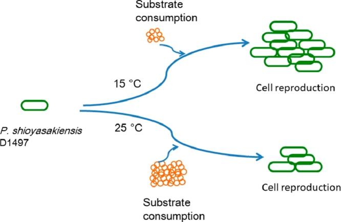 https://cdn.ncbi.nlm.nih.gov/pmc/blobs/8433/8711050/5c375878a4c9/ga1.jpg