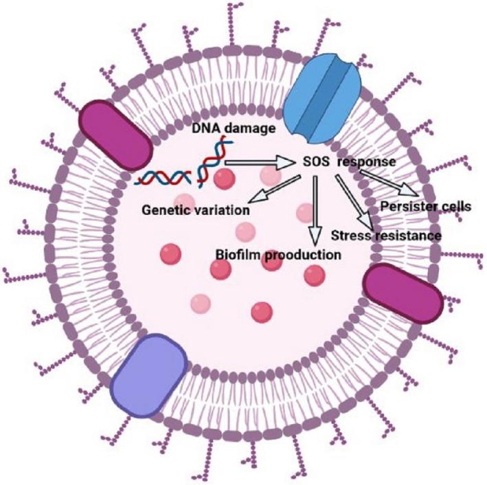 https://cdn.ncbi.nlm.nih.gov/pmc/blobs/8433/9459344/47f16d9f8692/JCLA-36-e24655-g003.jpg