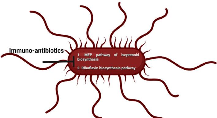 https://cdn.ncbi.nlm.nih.gov/pmc/blobs/8433/9459344/4e81d84909f1/JCLA-36-e24655-g001.jpg