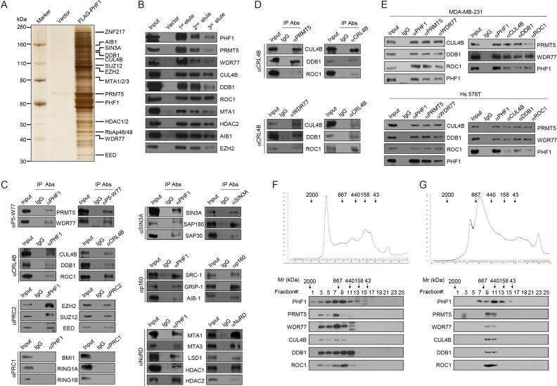 https://cdn.ncbi.nlm.nih.gov/pmc/blobs/8436/6061854/176b4ca435ab/gky461fig1.jpg