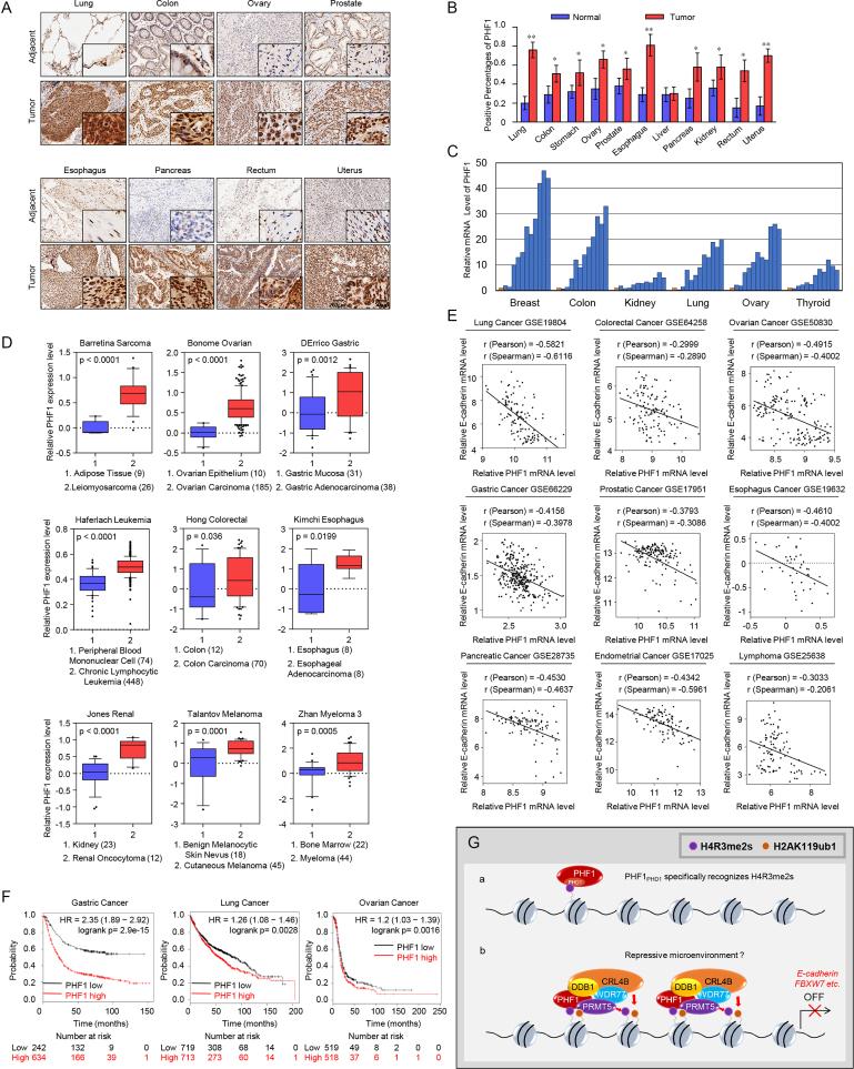 https://cdn.ncbi.nlm.nih.gov/pmc/blobs/8436/6061854/9f283faac495/gky461fig8.jpg