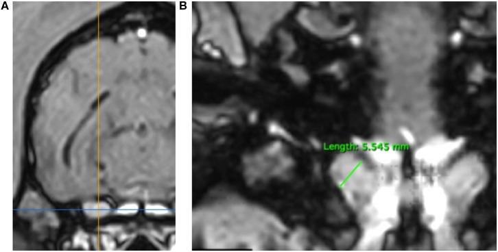 https://cdn.ncbi.nlm.nih.gov/pmc/blobs/8436/7249853/a424632eef32/fvets-07-00274-g0002.jpg