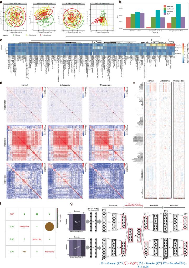 https://cdn.ncbi.nlm.nih.gov/pmc/blobs/8437/10933295/360ee9dcfba5/41421_2024_652_Fig2_HTML.jpg