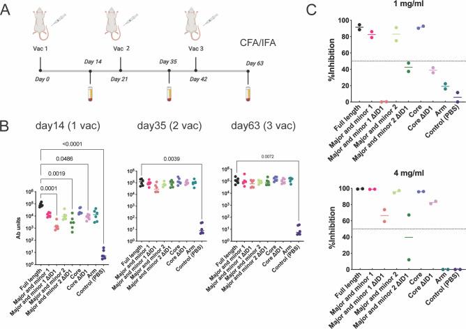 https://cdn.ncbi.nlm.nih.gov/pmc/blobs/8439/10939253/46cf715fa727/ppat.1011879.g002.jpg