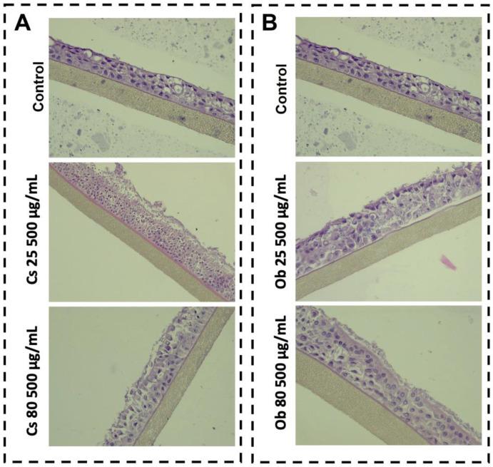 https://cdn.ncbi.nlm.nih.gov/pmc/blobs/843b/9866254/737a454da810/pharmaceutics-15-00002-g008.jpg