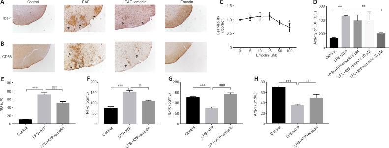 https://cdn.ncbi.nlm.nih.gov/pmc/blobs/843c/10075100/a3531a96d6e0/NRR-18-1535-g004.jpg