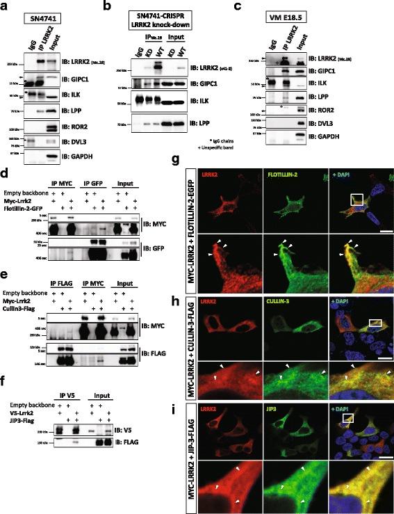 https://cdn.ncbi.nlm.nih.gov/pmc/blobs/843c/5505151/015c7927d91f/13024_2017_193_Fig2_HTML.jpg