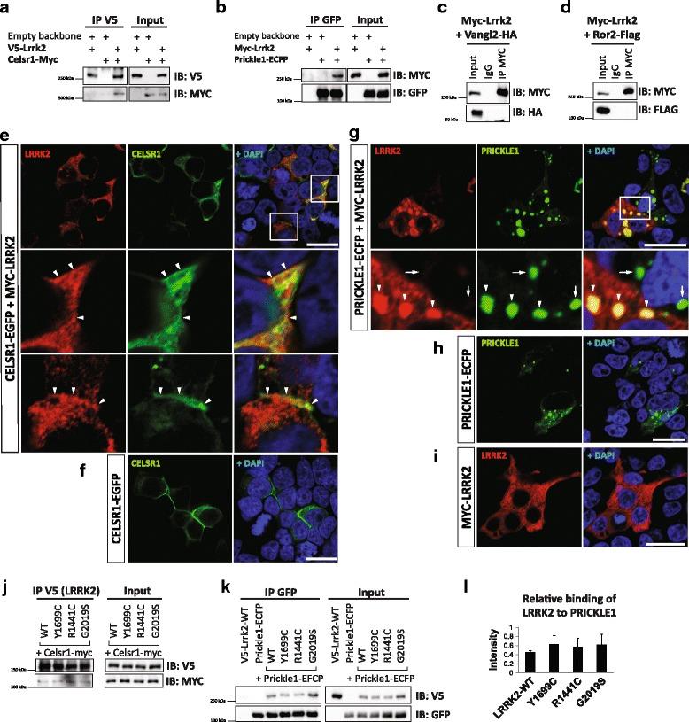 https://cdn.ncbi.nlm.nih.gov/pmc/blobs/843c/5505151/cab2d7f1dc4f/13024_2017_193_Fig3_HTML.jpg
