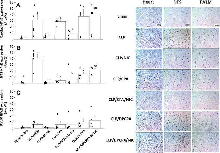 https://cdn.ncbi.nlm.nih.gov/pmc/blobs/843f/10587061/3f556706bd02/41598_2023_44601_Fig7_HTML.jpg